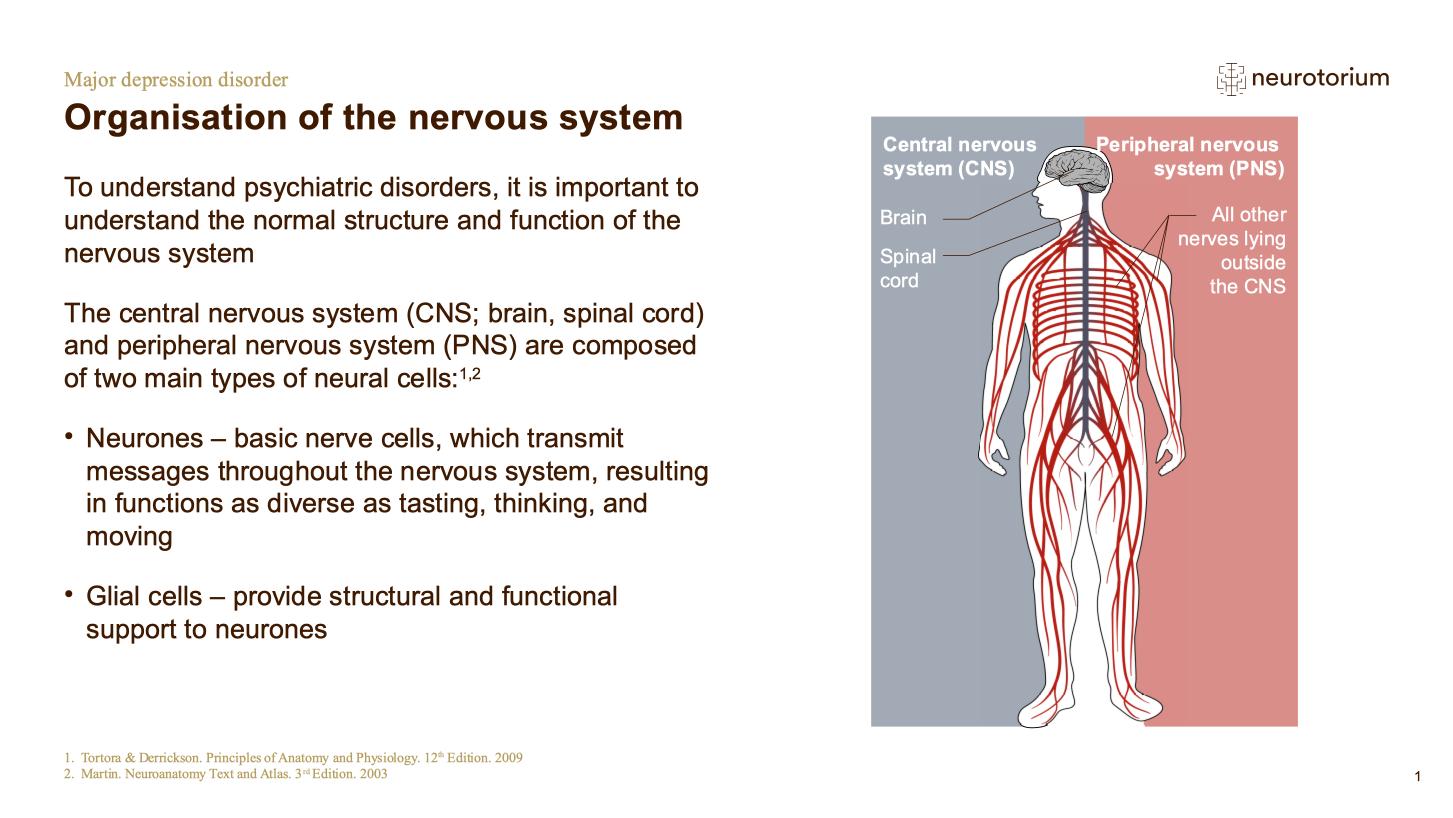 nervous-depression-how-to-find-the-joy-of-living